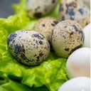 Foto de HUEVOS DE CODORNIZ