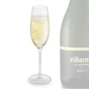 Foto de Copa Espumante Viñamar (Brut)