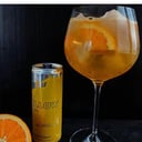 Foto de 687- Gin Tropical