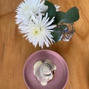 Foto de Rollo de Canela