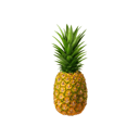 Foto de Piña Oro Miel