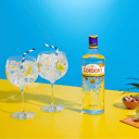 Foto de Ginebra Gordon's 750ml
