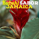 Foto de Jamaica