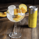 Foto de TROPICAL GIN