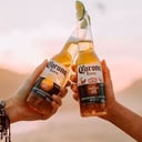 Foto de Corona 330cc