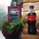 Foto de Coca-Cola Sin azúcar 400ml