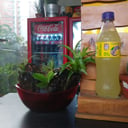 Foto de Quatro 400ml
