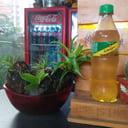 Foto de Ginger 400ml