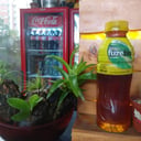 Foto de Fuze Tea 400ml