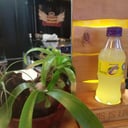 Foto de Quatro 250 ml