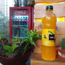 Foto de Mango 500ml