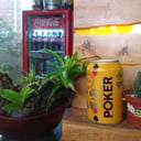 Foto de Poker