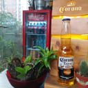 Foto de Corona 355ml