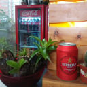 Foto de Estrella Damm Lata 330ml