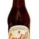 Foto de ARTESANAL PILSEN LAGER 