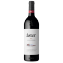 Foto de Aster Crianza