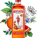 Foto de BEEFEATER BLODD ORANGE