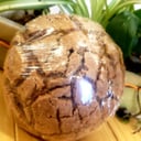 Foto de CONCHA GOURMET DE TRIPLE CHOCOLATE