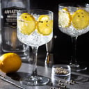 Foto de GIN TONIC CON LIMON 