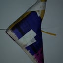 Foto de Paloma grande