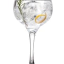 Foto de Gin tonic
