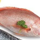 Foto de Pargo Rojo Entero