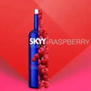 Foto de Vodka Skyy Raspberry 750 ml