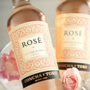 Foto de Vino Rosé Concha y Toro 375 ml