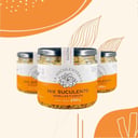 Foto de Mix Suculento