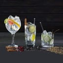 Foto de Gin Tonic