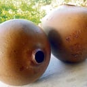 Foto de JUGO DE BOROJO