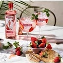 Foto de GINTONIC BEEFEATER