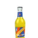 Foto de ACUARIUS DE NARANJA