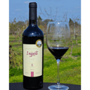 Foto de Inipoti - Tannat