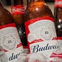 Foto de Budweiser 975cc