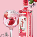 Foto de BEEFEATER PINK 