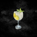 Foto de GIN TONIC TRUENO