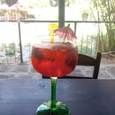 Foto de GIN TONIC FRUTOS ROJOS