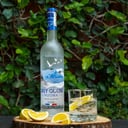 Foto de Grey Goose (Shot 60ml)