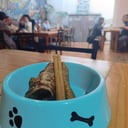 Foto de Snack Aperitivo