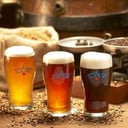 Foto de Pinta ANTARES IPA