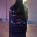Foto de TRUMPETER MALBEC X750ML
