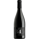 Foto de Selección 4