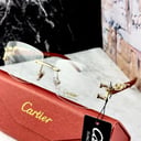 Foto de GAFAS CARTIER C77