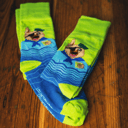 Foto de Calcetines Perro del Mar