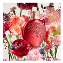 Foto de Floratta red 