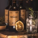 Foto de Gin Tonic Bosque Craft