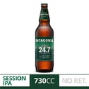 Foto de Patagonia Session IPA 730 cc 24.7