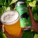 Foto de Jester MANITOBA