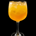 Foto de TROPICAL GIN 